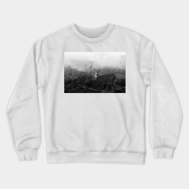 The rut in B&W - White-tailed Deer Crewneck Sweatshirt by Jim Cumming